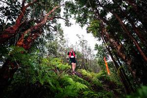 BIB: 
                            <button type="button" onclick="openModal(26202937)" class="btn btn-primary btn-sm float-right btn-popup" data-toggle="modal" data-target=".modal-high-quality">
                        <i class="fas fa-shopping-cart"></i> Add to Cart
                    </button>
                                            <button type="button" onclick="isThisMe(26202937, true)" class="btn btn-success btn-sm float-right btn-popup btn-isme hidden" data-toggle="tooltip" data-placement="bottom" title="นี่คือรูปของคุณใช่ไหม คลิกที่นี่เพื่อเอาเข้าอัลบั้ม">
                        <i class="fas fa-plus"></i> Add to album
                    </button>
                    <button type="button" onclick="isThisMe(26202937, false)" class="btn btn-warning btn-sm float-right btn-popup btn-isnotme hidden">
                        <i class="fas fa-ban"></i> Remove from album
                    </button>